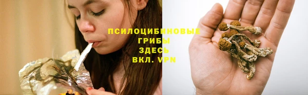 твердый Балахна