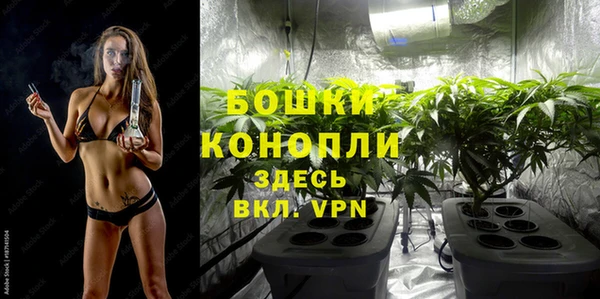 твердый Балахна