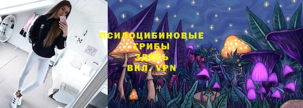 мяу мяу мука Сафоново